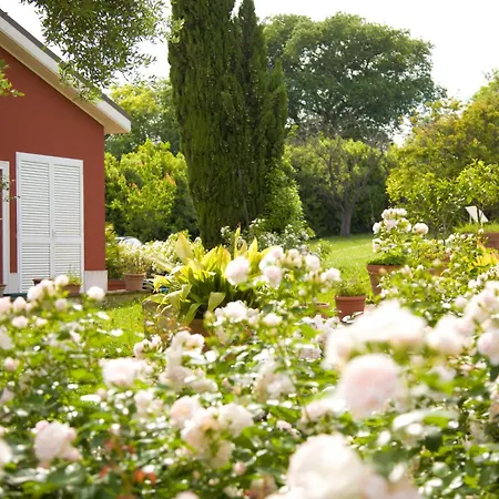 Borgo Rosso Country House B&B-3